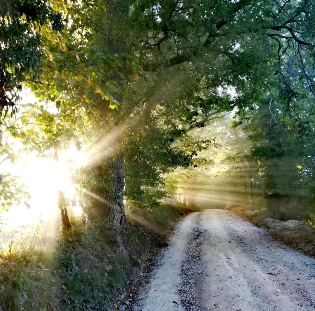 קמרינו La Quercia Incantata מראה חיצוני תמונה