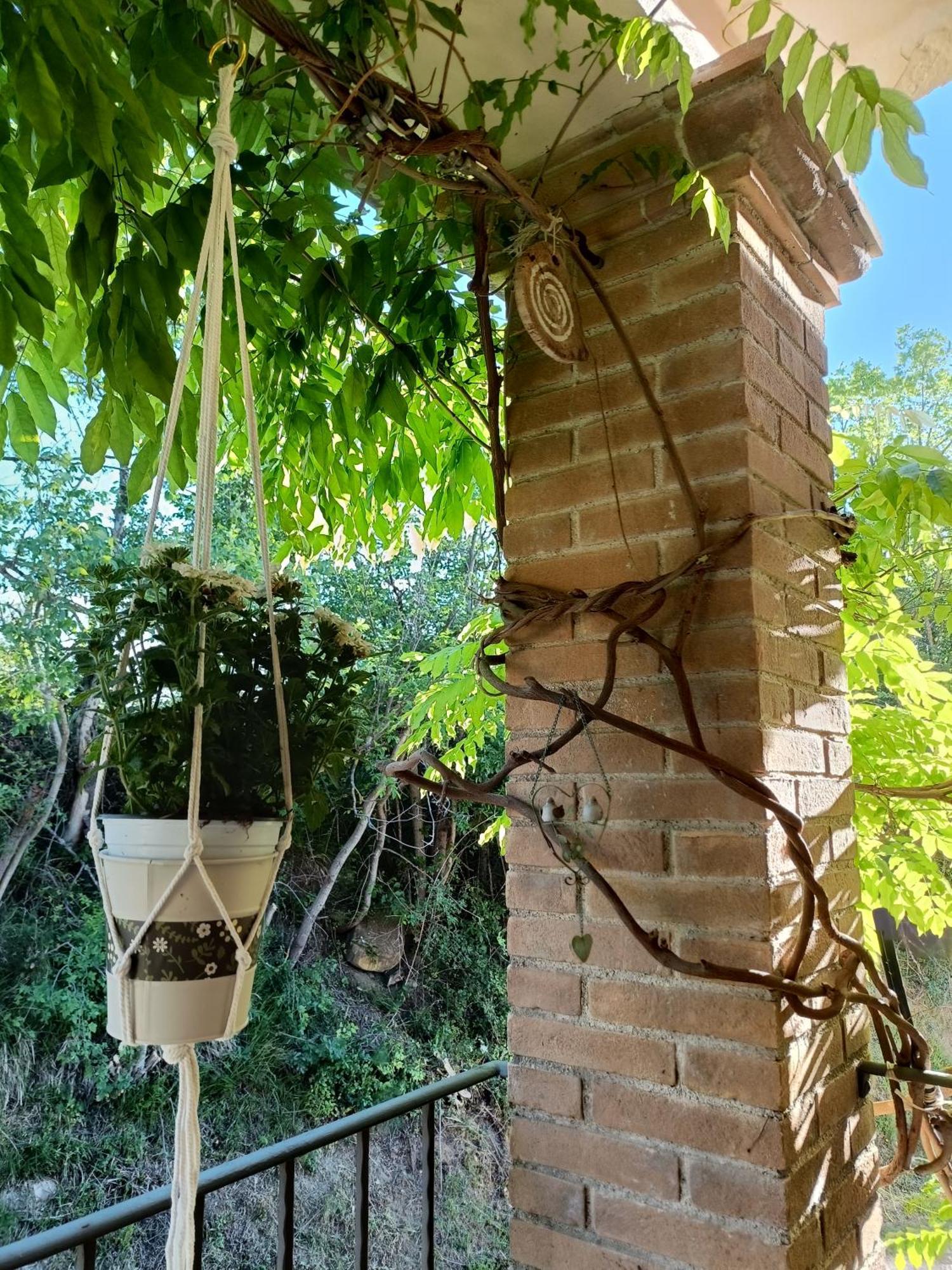 קמרינו La Quercia Incantata מראה חיצוני תמונה